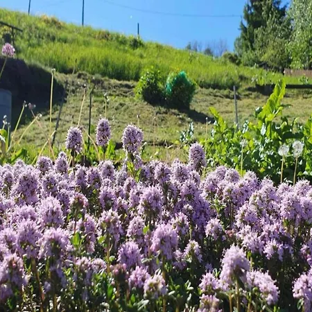 Mountain Bliss In Borstendorf, Cleaning Included Villa *