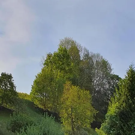 Mountain Bliss In Borstendorf, Cleaning Included *