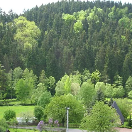 Villa Mountain Bliss In Borstendorf, Cleaning Included Grunhainichen